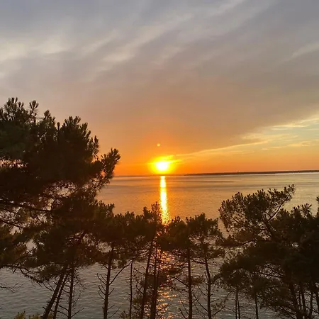 Holiday home La Petite Maison Des Abatilles Arcachon
